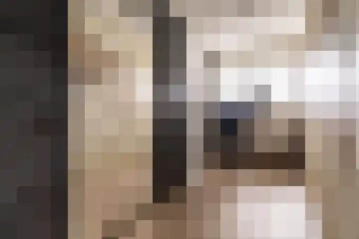Belvédèrebos 181 Zoetermeer thumbnail 33