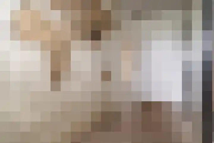 Belvédèrebos 181 Zoetermeer thumbnail 34