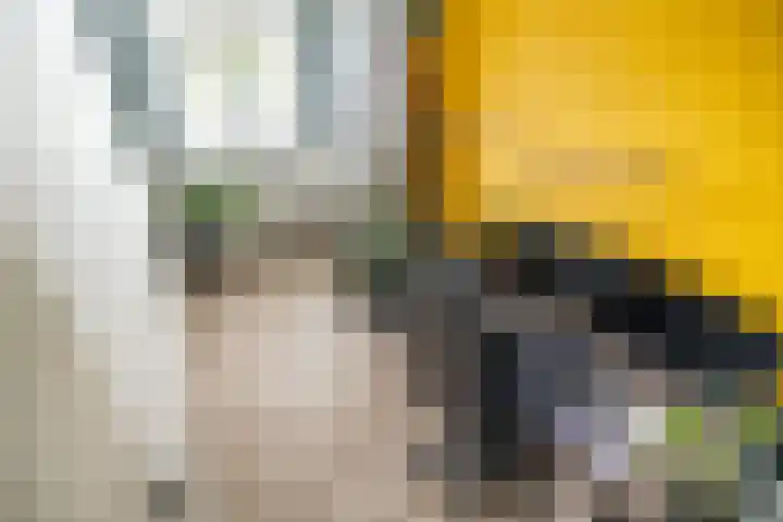 Belvédèrebos 181 Zoetermeer thumbnail 36