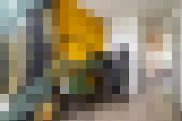 Belvédèrebos 181 Zoetermeer thumbnail 38