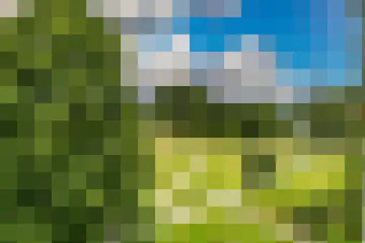 Belvédèrebos 181 Zoetermeer thumbnail 4