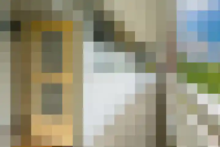 Belvédèrebos 181 Zoetermeer thumbnail 40