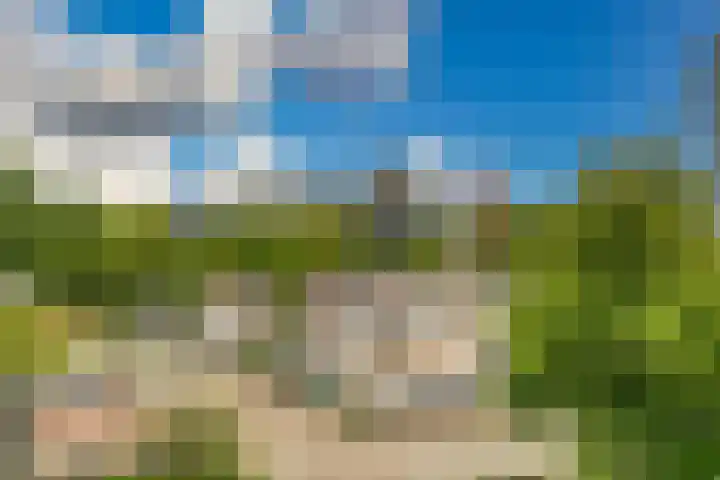 Belvédèrebos 181 Zoetermeer thumbnail 41
