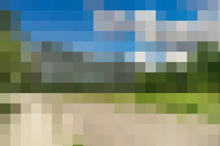 Belvédèrebos 181 Zoetermeer thumbnail 45