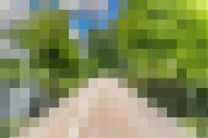 Belvédèrebos 181 Zoetermeer thumbnail 46
