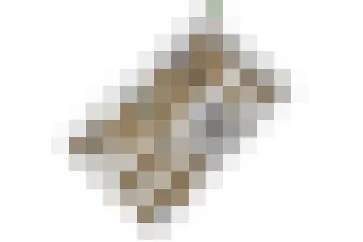 Belvédèrebos 181 Zoetermeer thumbnail 48