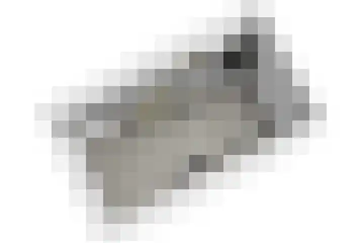 Belvédèrebos 181 Zoetermeer thumbnail 51
