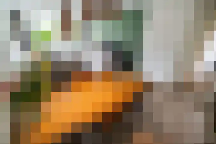 Belvédèrebos 181 Zoetermeer thumbnail 6