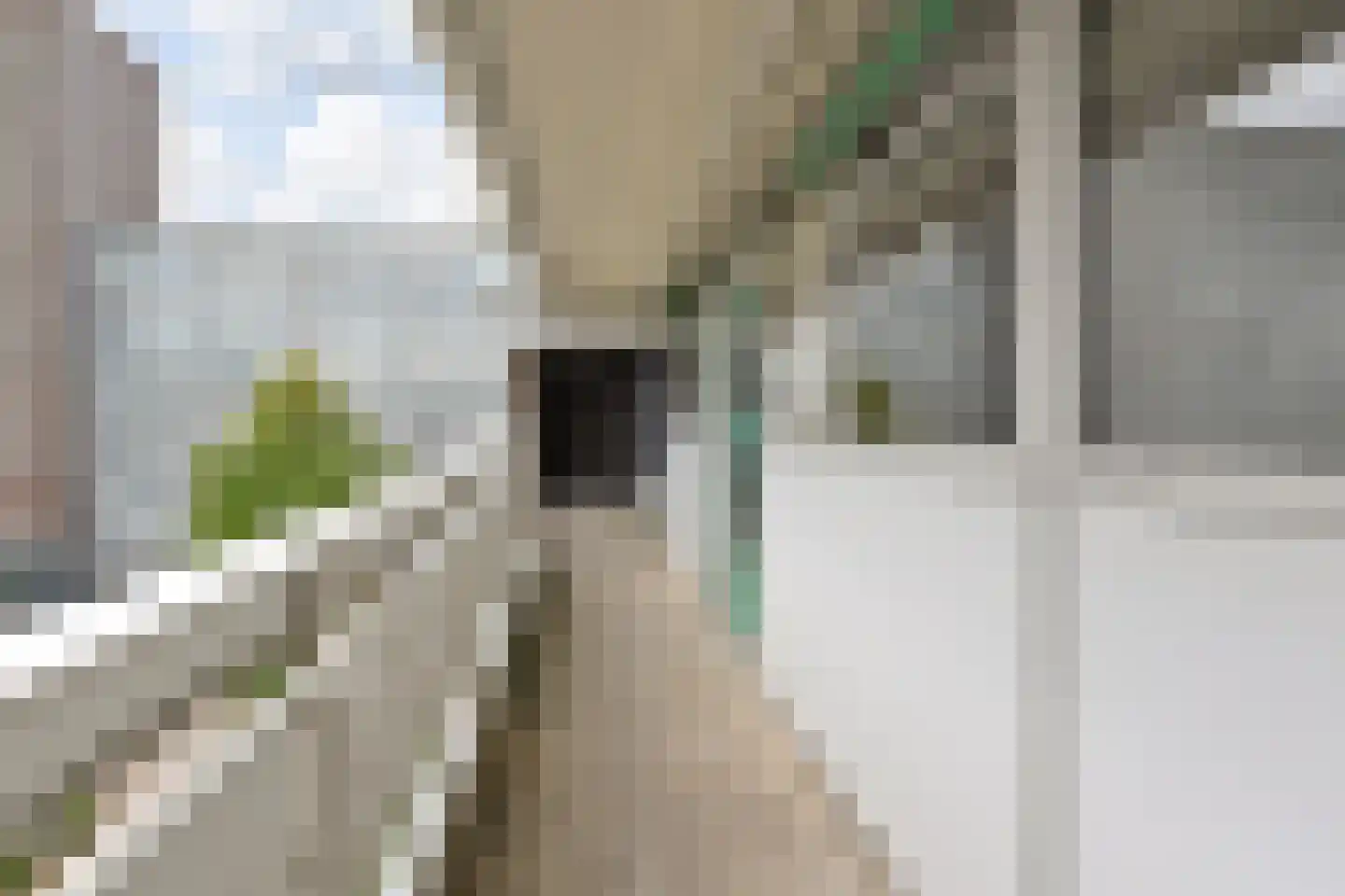 Belvédèrebos 185 Zoetermeer thumbnail 10