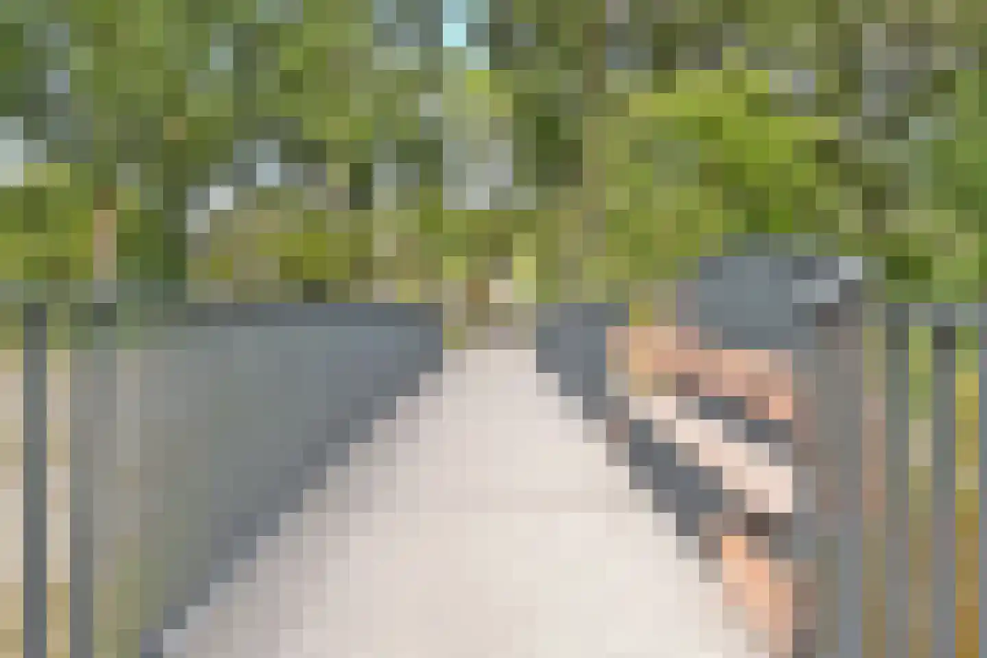 Belvédèrebos 185 Zoetermeer thumbnail 34