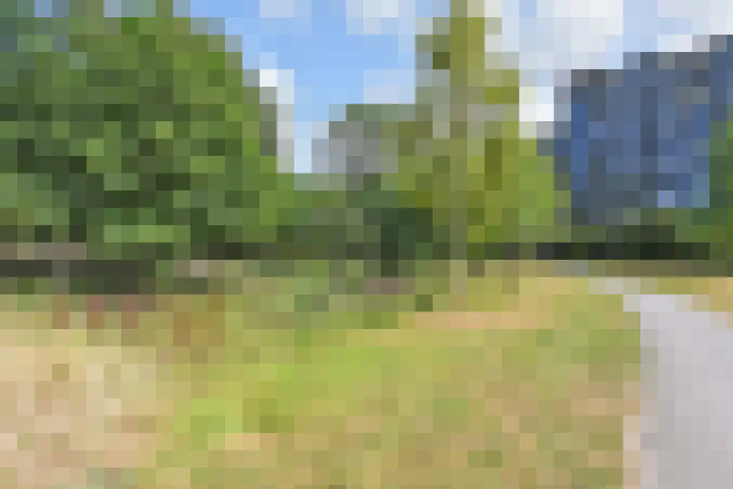 Belvédèrebos 185 Zoetermeer thumbnail 38