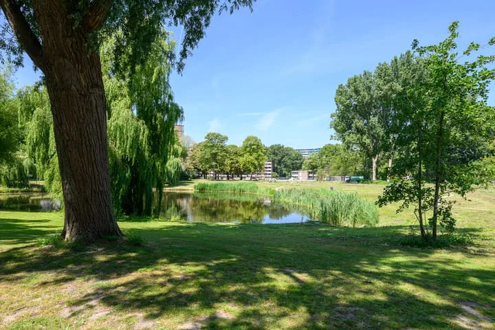 Belvédèrebos 193 Zoetermeer thumbnail 35