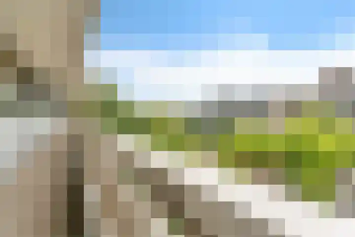 Belvédèrebos 201 Zoetermeer thumbnail 11