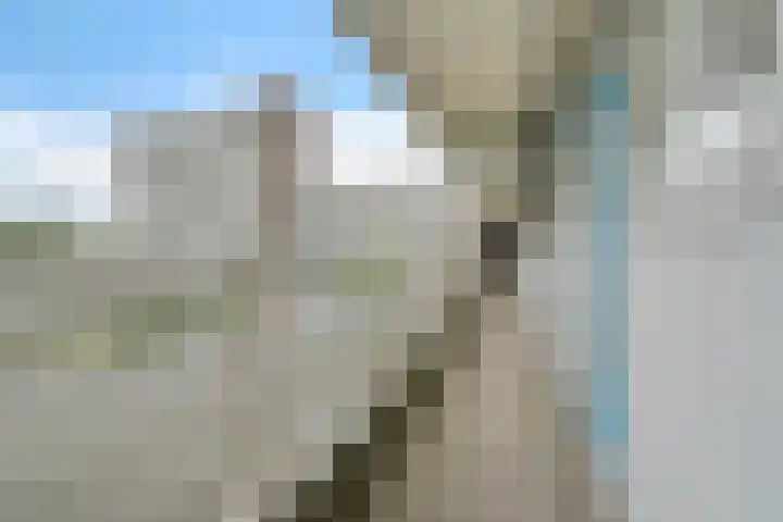 Belvédèrebos 201 Zoetermeer thumbnail 12