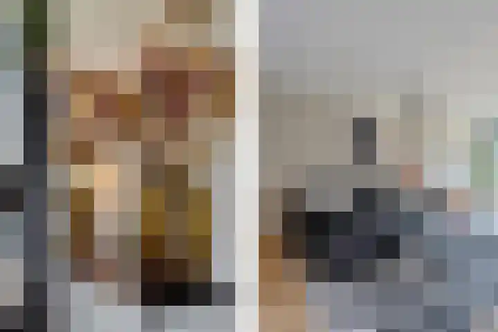 Belvédèrebos 201 Zoetermeer thumbnail 18