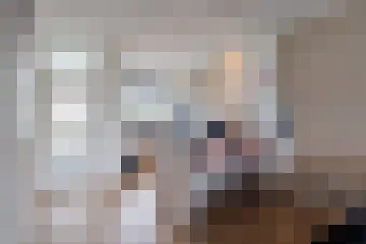 Belvédèrebos 201 Zoetermeer thumbnail 24