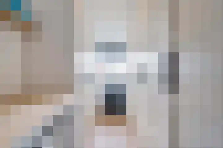 Belvédèrebos 201 Zoetermeer thumbnail 32