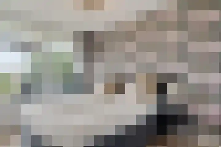 Belvédèrebos 201 Zoetermeer thumbnail 38