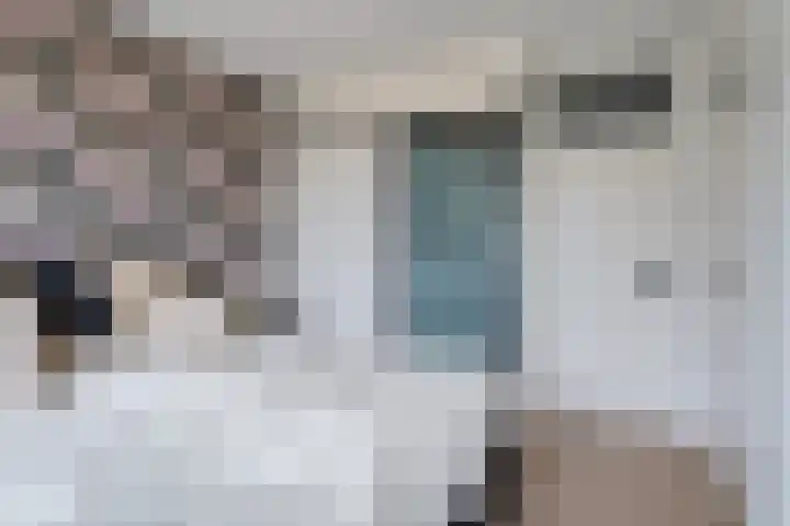 Belvédèrebos 201 Zoetermeer thumbnail 40