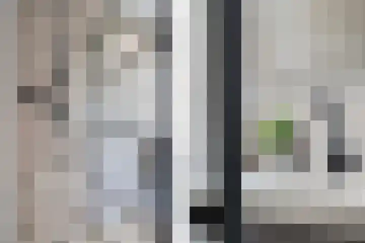 Belvédèrebos 201 Zoetermeer thumbnail 44