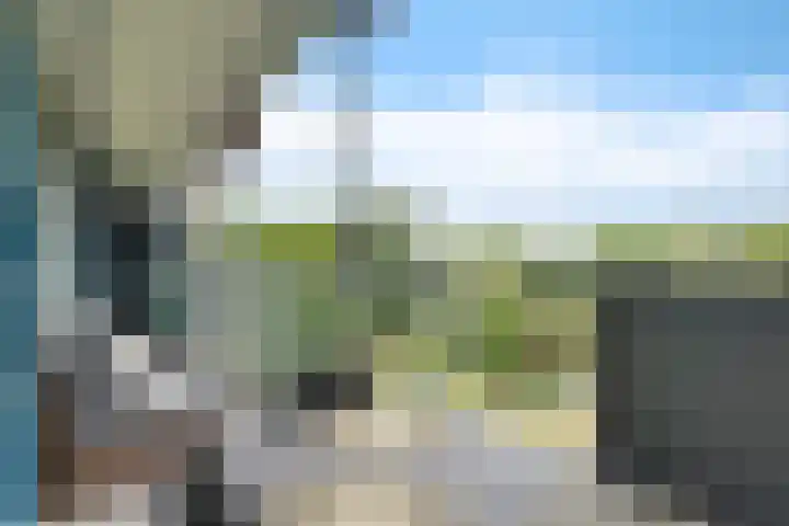 Belvédèrebos 201 Zoetermeer thumbnail 45