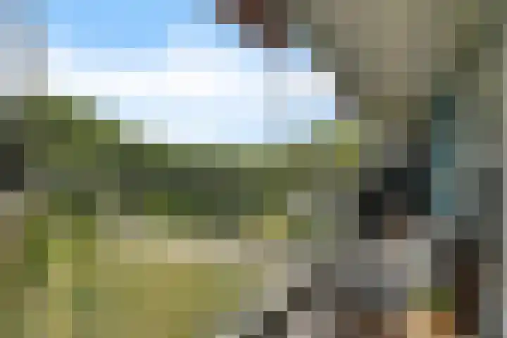 Belvédèrebos 201 Zoetermeer thumbnail 46