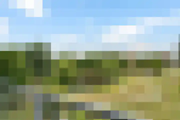 Belvédèrebos 201 Zoetermeer thumbnail 47