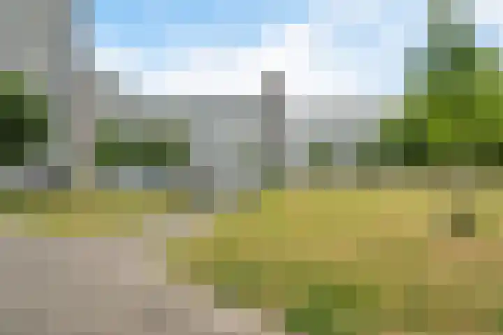 Belvédèrebos 201 Zoetermeer thumbnail 48
