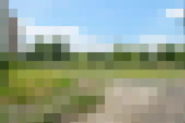 Belvédèrebos 201 Zoetermeer thumbnail 50