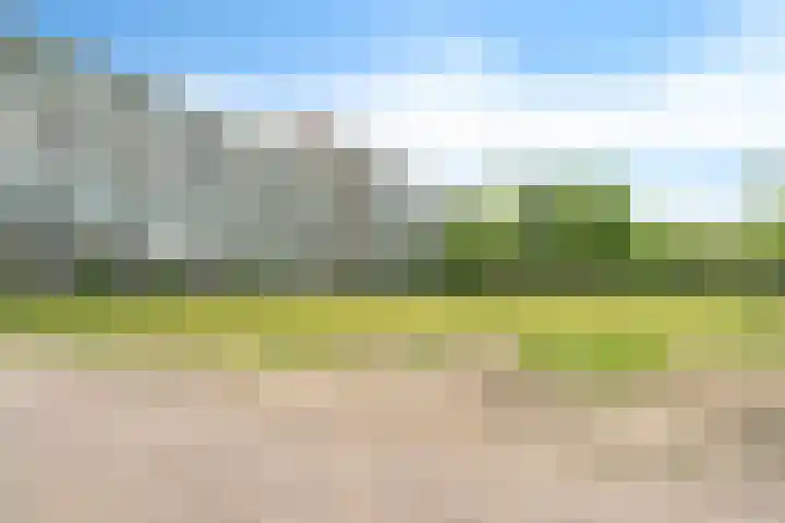 Belvédèrebos 201 Zoetermeer thumbnail 51