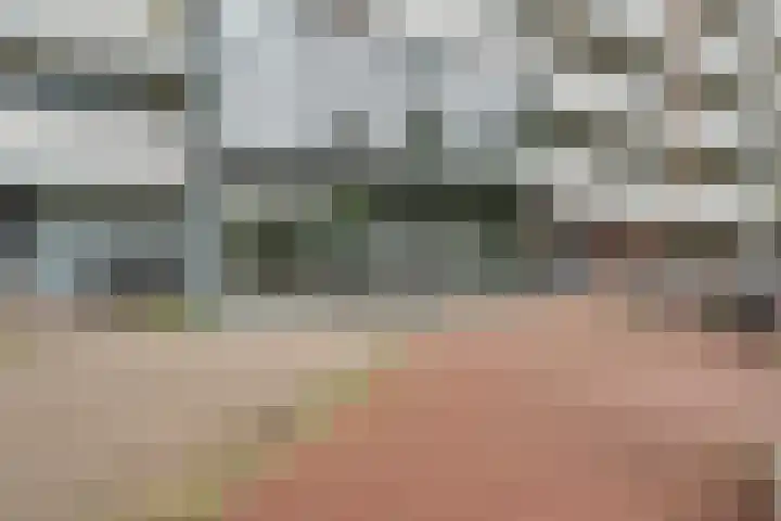 Belvédèrebos 201 Zoetermeer thumbnail 7