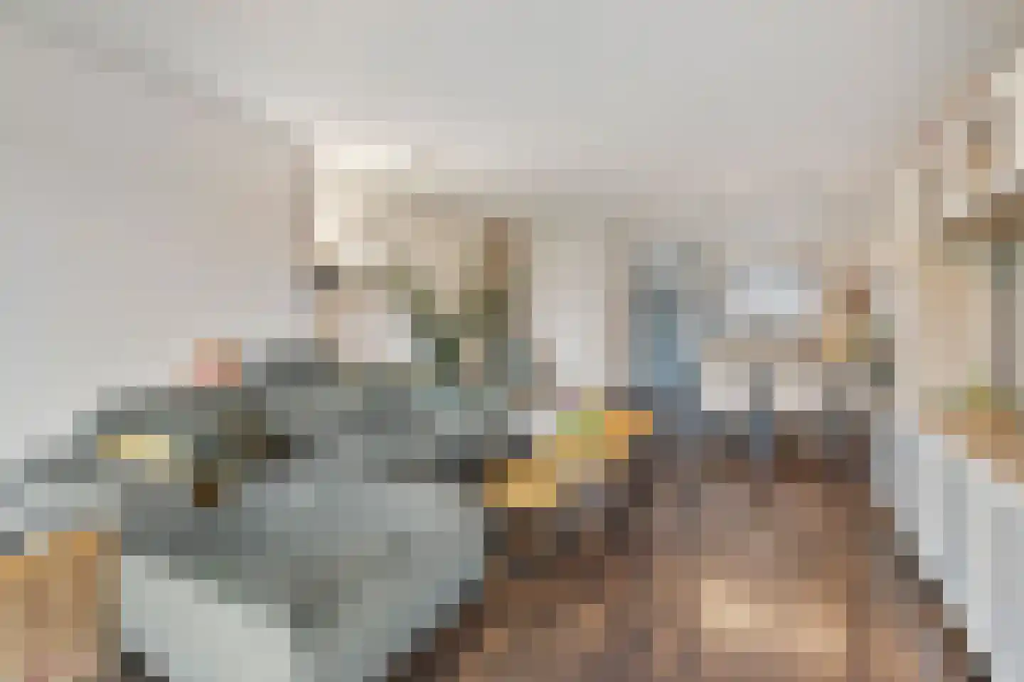 Belvédèrebos 218 Zoetermeer thumbnail 14