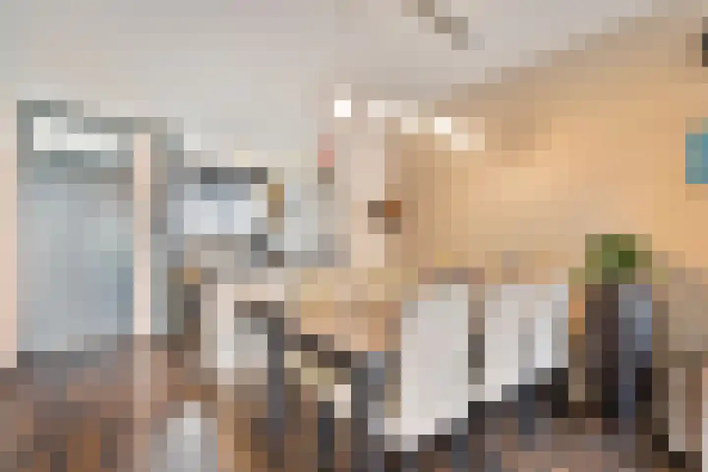 Belvédèrebos 218 Zoetermeer thumbnail 15