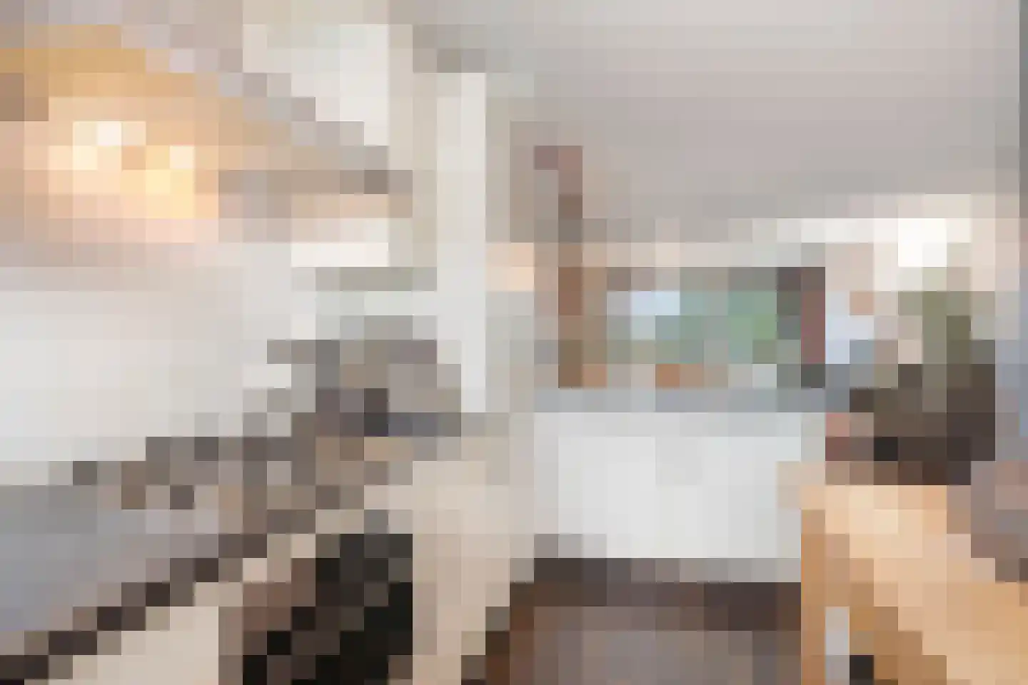 Belvédèrebos 218 Zoetermeer thumbnail 17