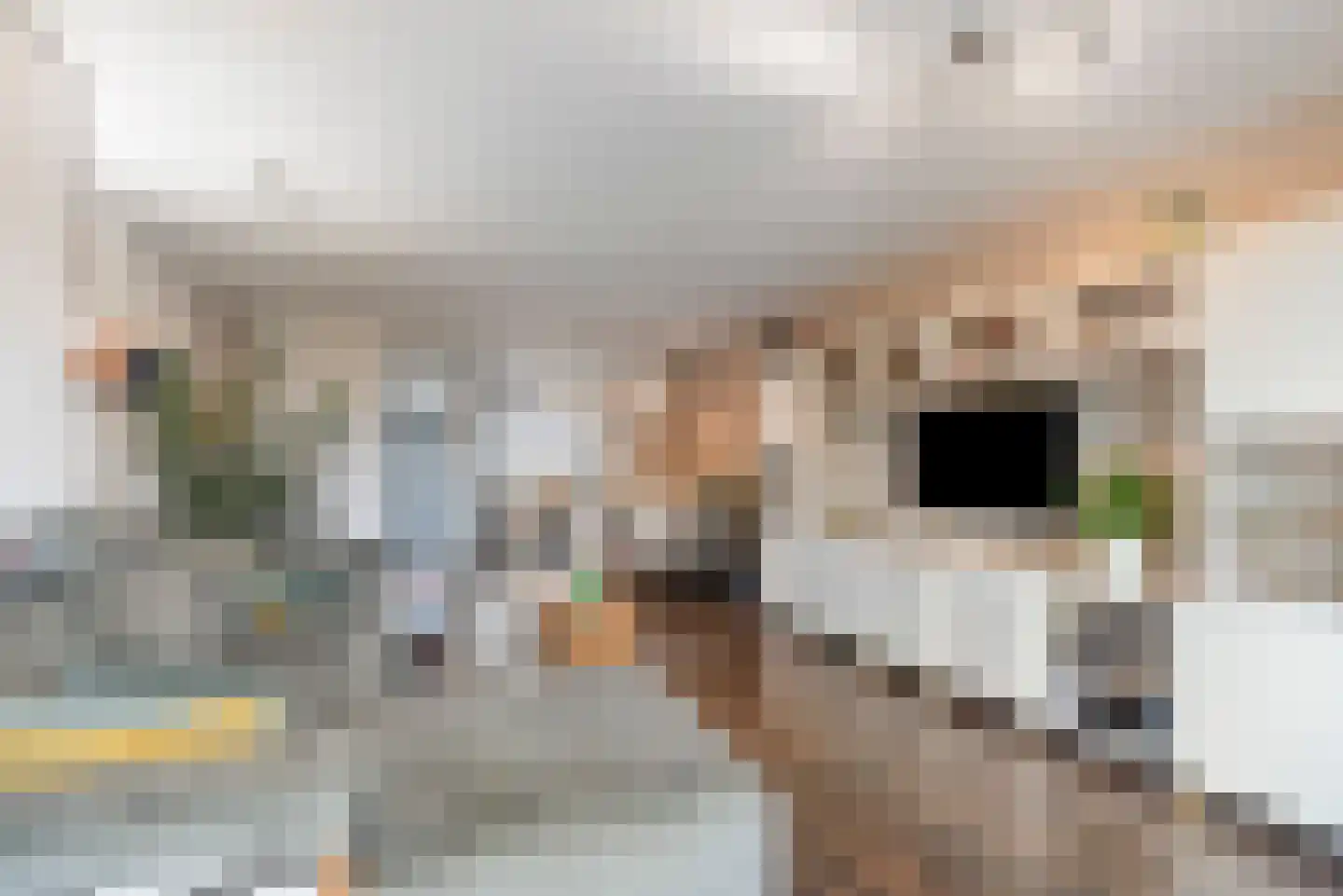 Belvédèrebos 218 Zoetermeer thumbnail 19
