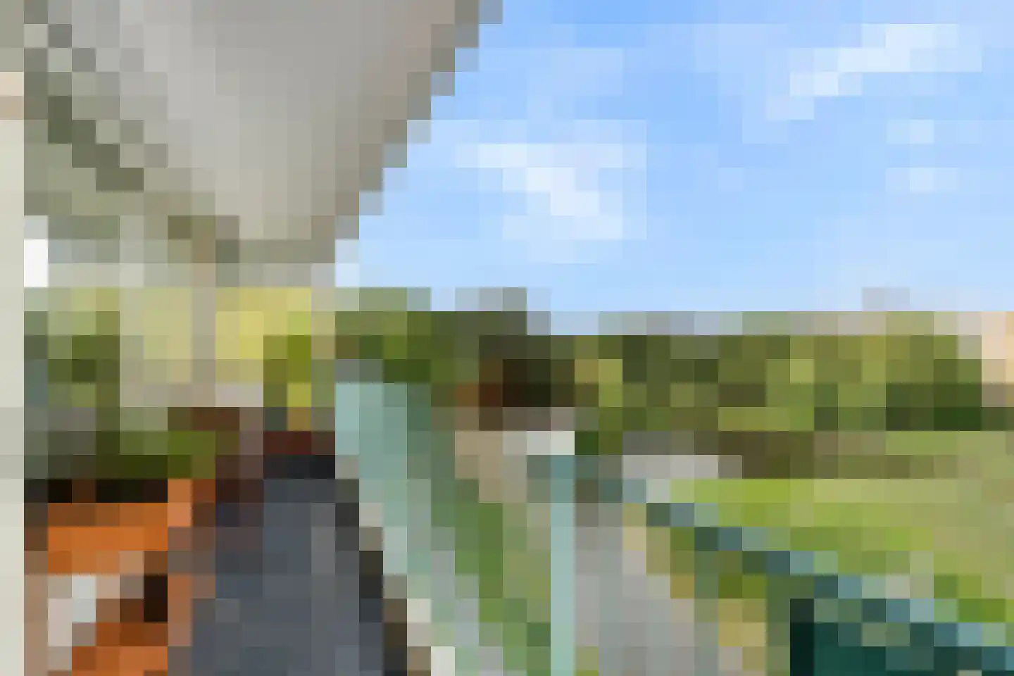 Belvédèrebos 218 Zoetermeer thumbnail 22