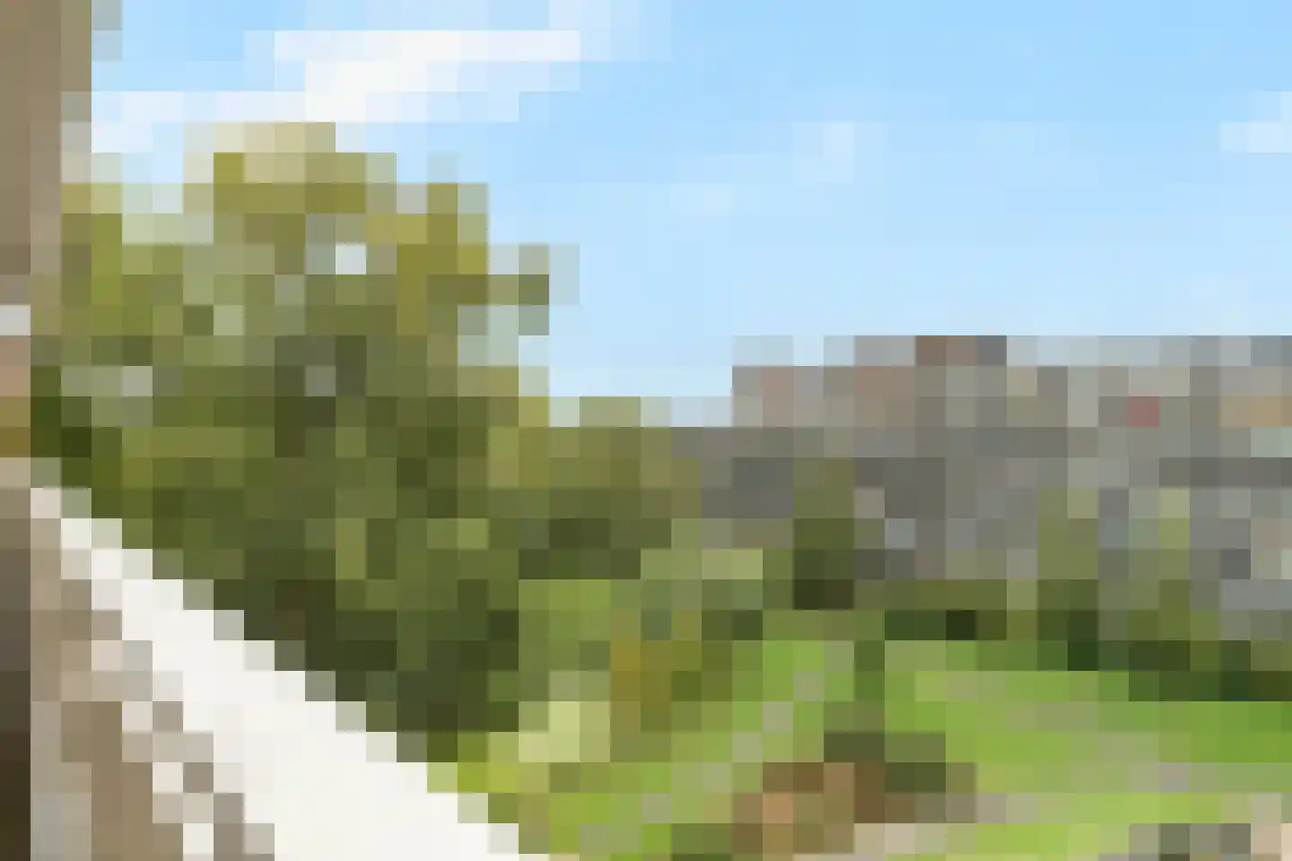 Belvédèrebos 218 Zoetermeer thumbnail 9