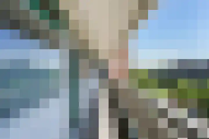 Belvédèrebos 225 Zoetermeer thumbnail 11