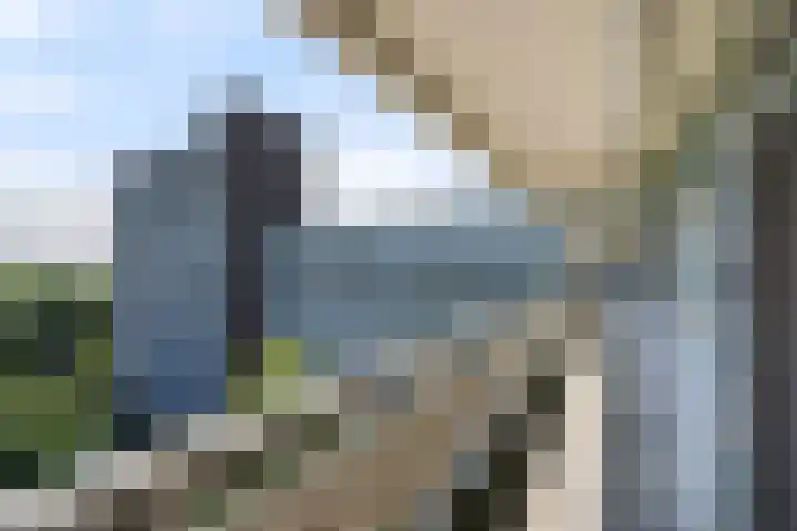Belvédèrebos 225 Zoetermeer thumbnail 12