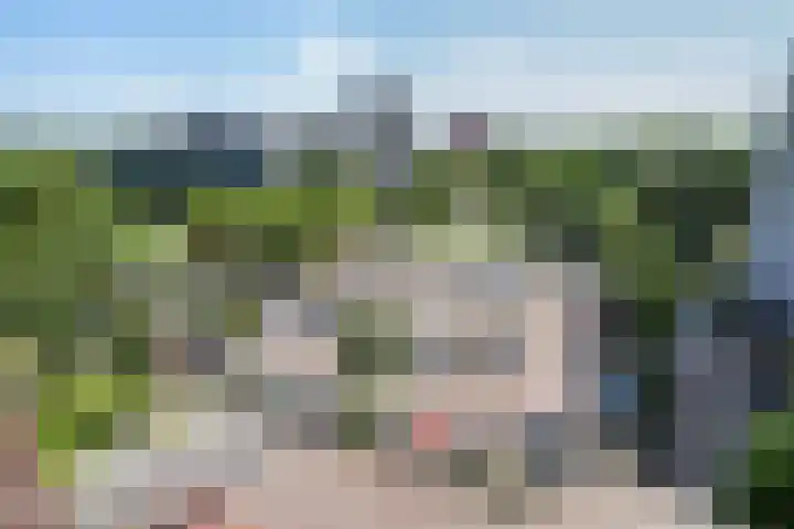Belvédèrebos 225 Zoetermeer thumbnail 13