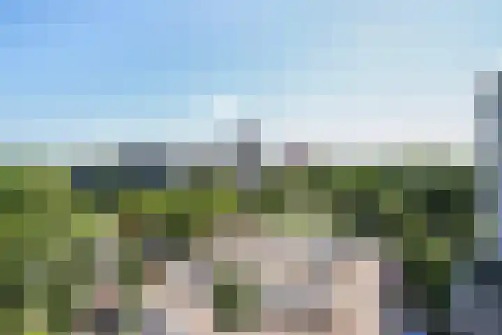 Belvédèrebos 225 Zoetermeer thumbnail 14