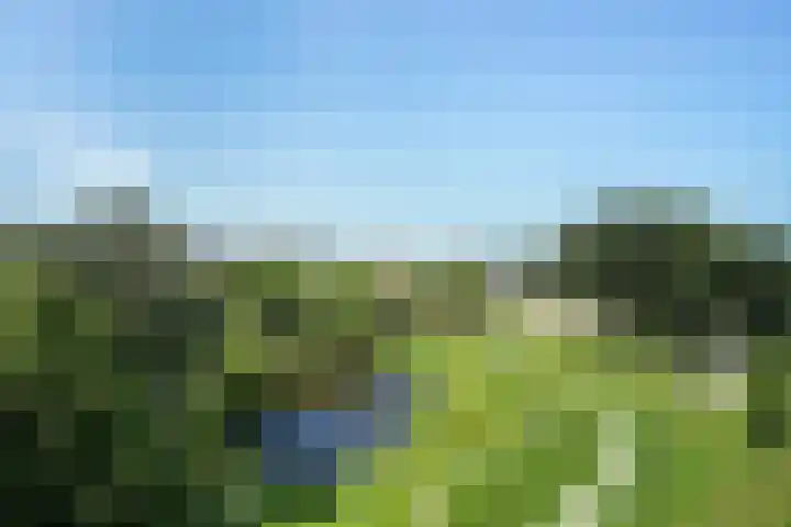Belvédèrebos 225 Zoetermeer thumbnail 29