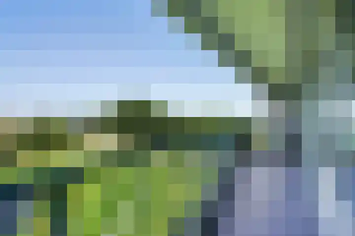 Belvédèrebos 225 Zoetermeer thumbnail 30