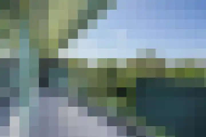Belvédèrebos 225 Zoetermeer thumbnail 31