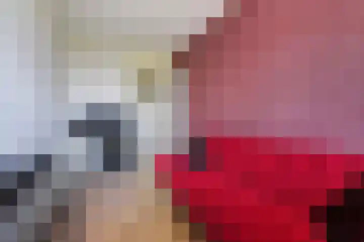 Belvédèrebos 225 Zoetermeer thumbnail 35