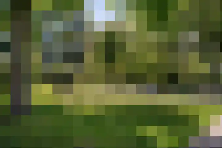 Belvédèrebos 225 Zoetermeer thumbnail 37
