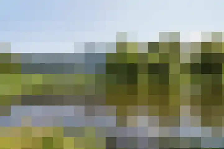 Belvédèrebos 225 Zoetermeer thumbnail 38