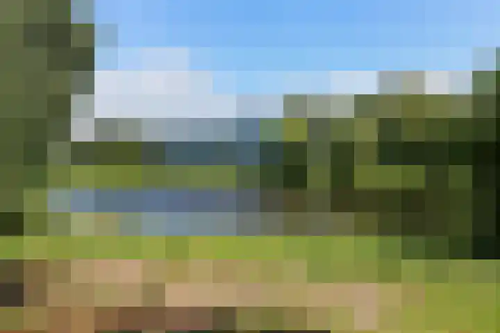 Belvédèrebos 225 Zoetermeer thumbnail 39