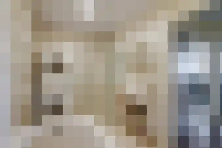 Belvédèrebos 225 Zoetermeer thumbnail 5