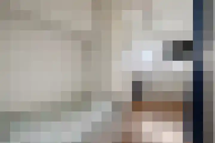 Belvédèrebos 230 Zoetermeer thumbnail 13